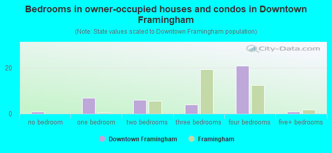 Bedrooms in owner-occupied houses and condos in Downtown Framingham