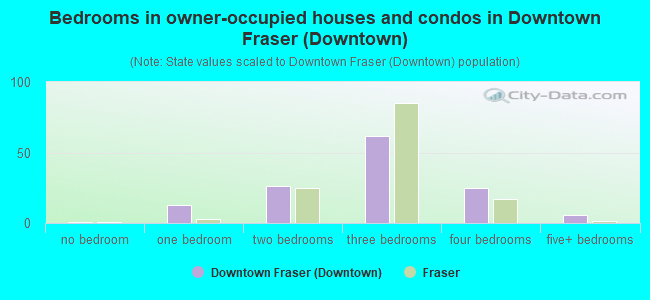Bedrooms in owner-occupied houses and condos in Downtown Fraser (Downtown)