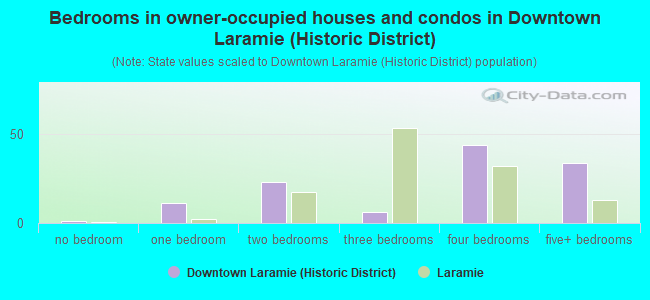 Bedrooms in owner-occupied houses and condos in Downtown Laramie (Historic District)