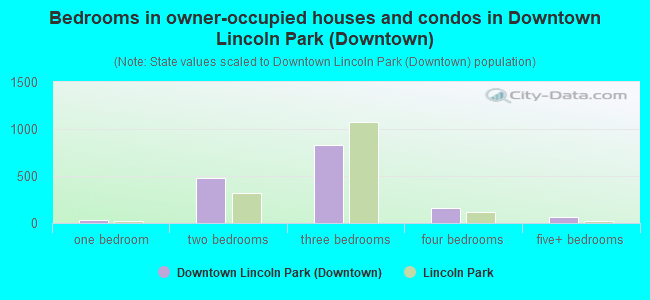 Bedrooms in owner-occupied houses and condos in Downtown Lincoln Park (Downtown)