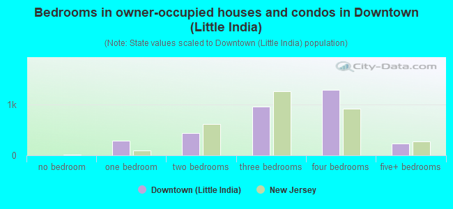Bedrooms in owner-occupied houses and condos in Downtown (Little India)