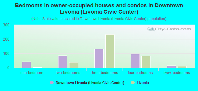 Bedrooms in owner-occupied houses and condos in Downtown Livonia (Livonia Civic Center)