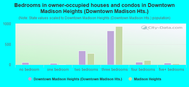 Bedrooms in owner-occupied houses and condos in Downtown Madison Heights (Downtown Madison Hts.)