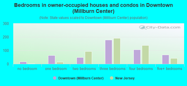 Bedrooms in owner-occupied houses and condos in Downtown (Millburn Center)