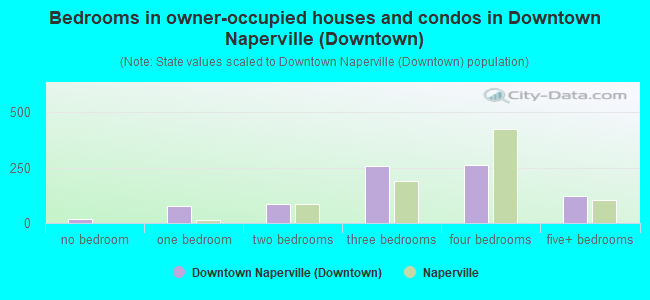 Bedrooms in owner-occupied houses and condos in Downtown Naperville (Downtown)