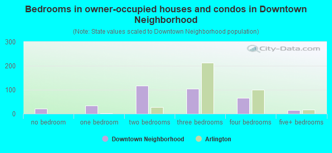 Bedrooms in owner-occupied houses and condos in Downtown Neighborhood