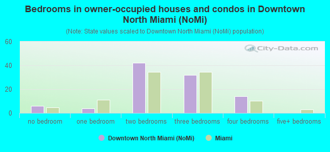 Bedrooms in owner-occupied houses and condos in Downtown North Miami (NoMi)