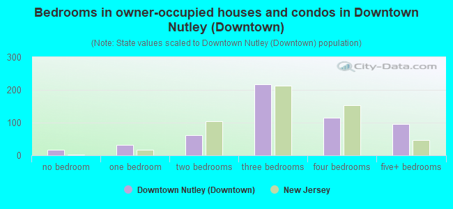Bedrooms in owner-occupied houses and condos in Downtown Nutley (Downtown)