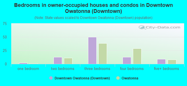 Bedrooms in owner-occupied houses and condos in Downtown Owatonna (Downtown)