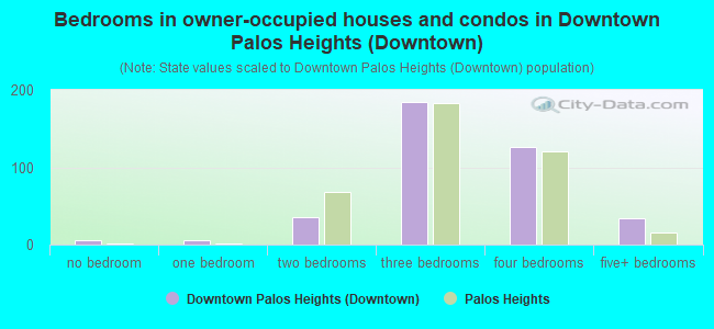 Bedrooms in owner-occupied houses and condos in Downtown Palos Heights (Downtown)