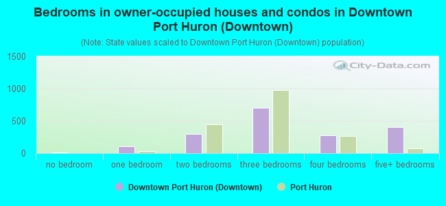 Bedrooms in owner-occupied houses and condos in Downtown Port Huron (Downtown)