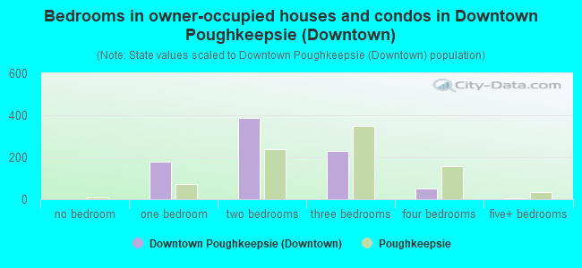 Bedrooms in owner-occupied houses and condos in Downtown Poughkeepsie (Downtown)