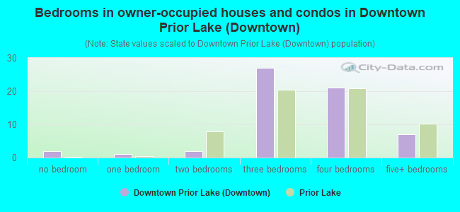 Bedrooms in owner-occupied houses and condos in Downtown Prior Lake (Downtown)