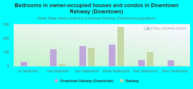 Bedrooms in owner-occupied houses and condos in Downtown Rahway (Downtown)