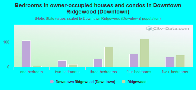 Bedrooms in owner-occupied houses and condos in Downtown Ridgewood (Downtown)