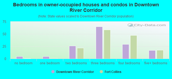 Bedrooms in owner-occupied houses and condos in Downtown River Corridor