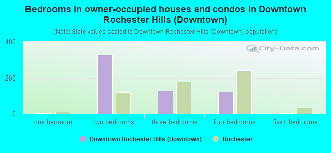 Bedrooms in owner-occupied houses and condos in Downtown Rochester Hills (Downtown)