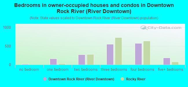 Bedrooms in owner-occupied houses and condos in Downtown Rock River (River Downtown)