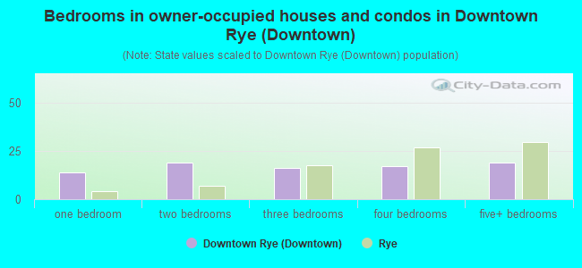 Bedrooms in owner-occupied houses and condos in Downtown Rye (Downtown)