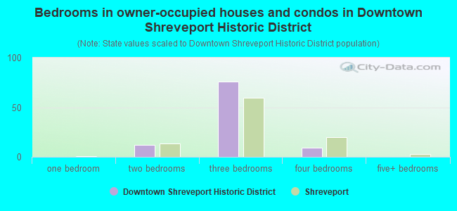 Bedrooms in owner-occupied houses and condos in Downtown Shreveport Historic District