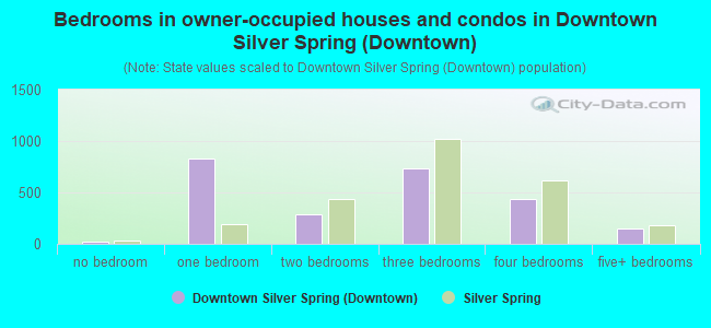 Bedrooms in owner-occupied houses and condos in Downtown Silver Spring (Downtown)