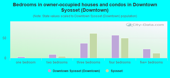 Bedrooms in owner-occupied houses and condos in Downtown Syosset (Downtown)