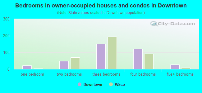 Bedrooms in owner-occupied houses and condos in Downtown