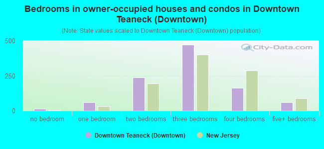 Bedrooms in owner-occupied houses and condos in Downtown Teaneck (Downtown)