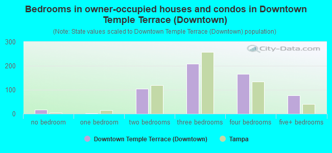 Bedrooms in owner-occupied houses and condos in Downtown Temple Terrace (Downtown)