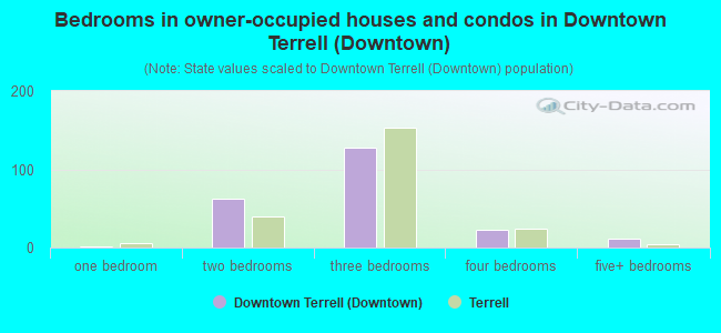 Bedrooms in owner-occupied houses and condos in Downtown Terrell (Downtown)