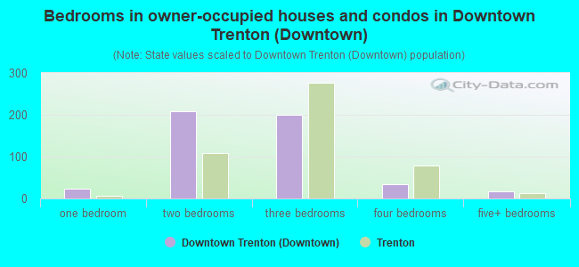 Bedrooms in owner-occupied houses and condos in Downtown Trenton (Downtown)