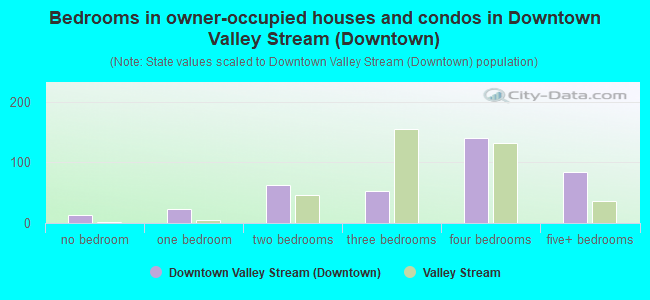 Bedrooms in owner-occupied houses and condos in Downtown Valley Stream (Downtown)
