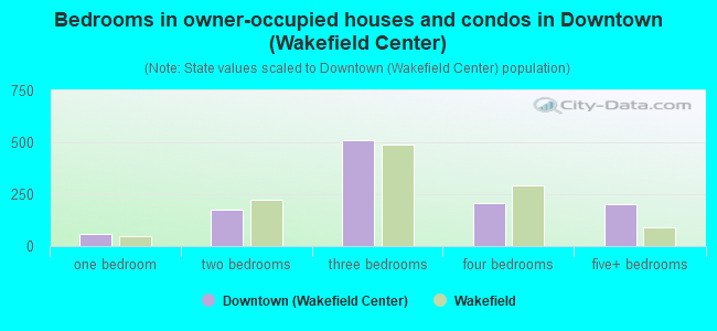 Bedrooms in owner-occupied houses and condos in Downtown (Wakefield Center)