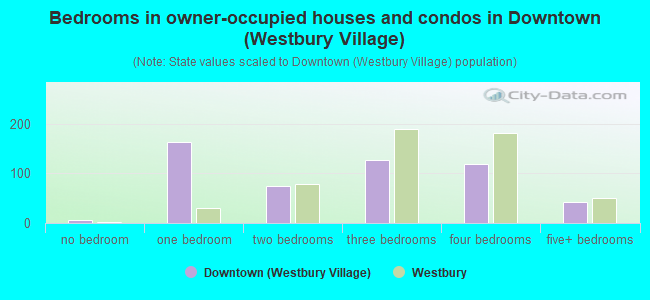 Bedrooms in owner-occupied houses and condos in Downtown (Westbury Village)