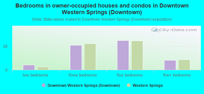 Bedrooms in owner-occupied houses and condos in Downtown Western Springs (Downtown)