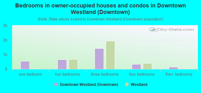 Bedrooms in owner-occupied houses and condos in Downtown Westland (Downtown)