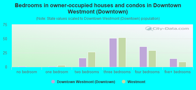 Bedrooms in owner-occupied houses and condos in Downtown Westmont (Downtown)