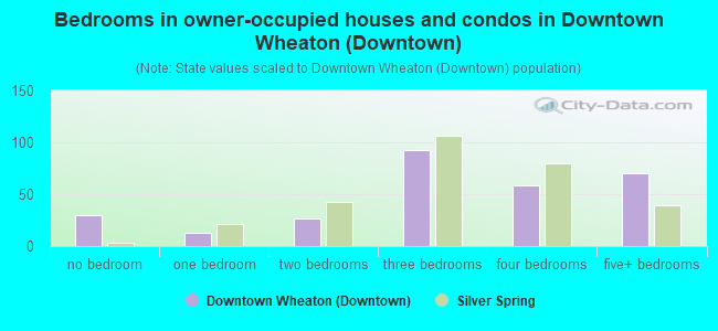 Bedrooms in owner-occupied houses and condos in Downtown Wheaton (Downtown)