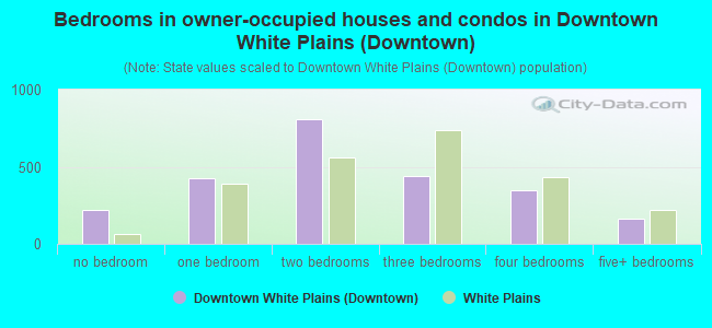 Bedrooms in owner-occupied houses and condos in Downtown White Plains (Downtown)