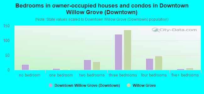 Bedrooms in owner-occupied houses and condos in Downtown Willow Grove (Downtown)