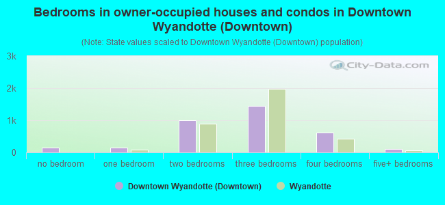 Bedrooms in owner-occupied houses and condos in Downtown Wyandotte (Downtown)
