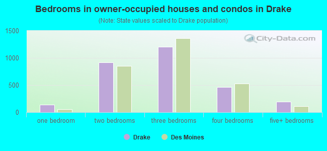 Bedrooms in owner-occupied houses and condos in Drake