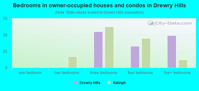 Bedrooms in owner-occupied houses and condos in Drewry Hills