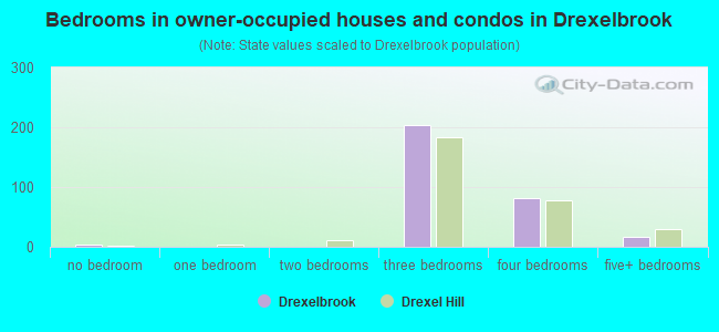 Bedrooms in owner-occupied houses and condos in Drexelbrook