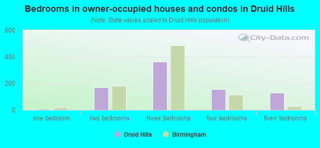 Bedrooms in owner-occupied houses and condos in Druid Hills