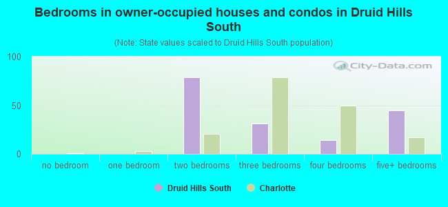 Bedrooms in owner-occupied houses and condos in Druid Hills South