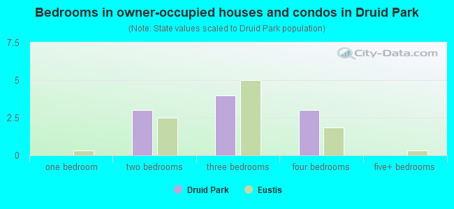 Bedrooms in owner-occupied houses and condos in Druid Park