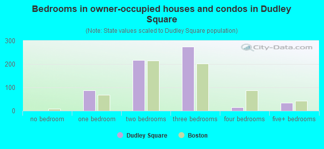 Bedrooms in owner-occupied houses and condos in Dudley Square