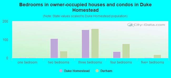 Bedrooms in owner-occupied houses and condos in Duke Homestead