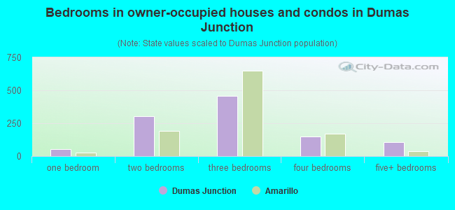 Bedrooms in owner-occupied houses and condos in Dumas Junction